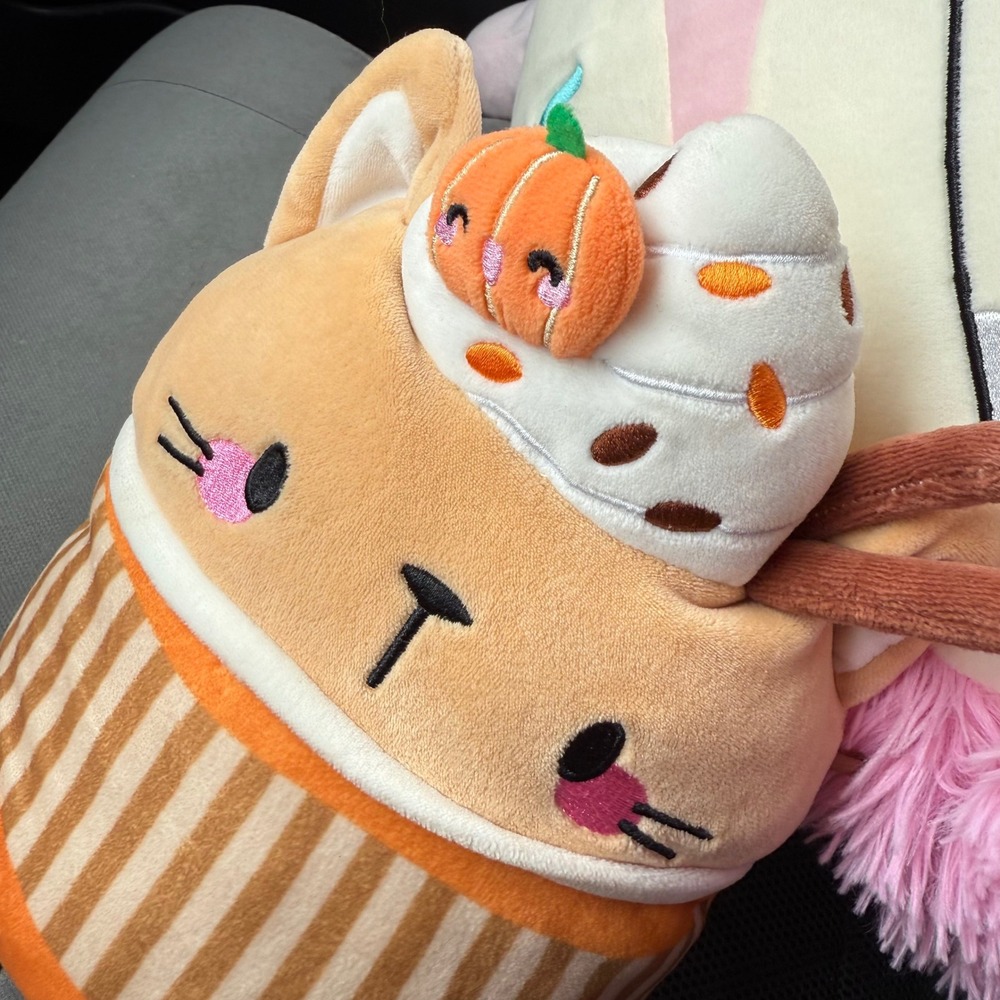 Squishmallows CINDA The Pumpkin Latte Cat 8" Fall Plush Claire's Exclusive RARE - Picture 3 of 3